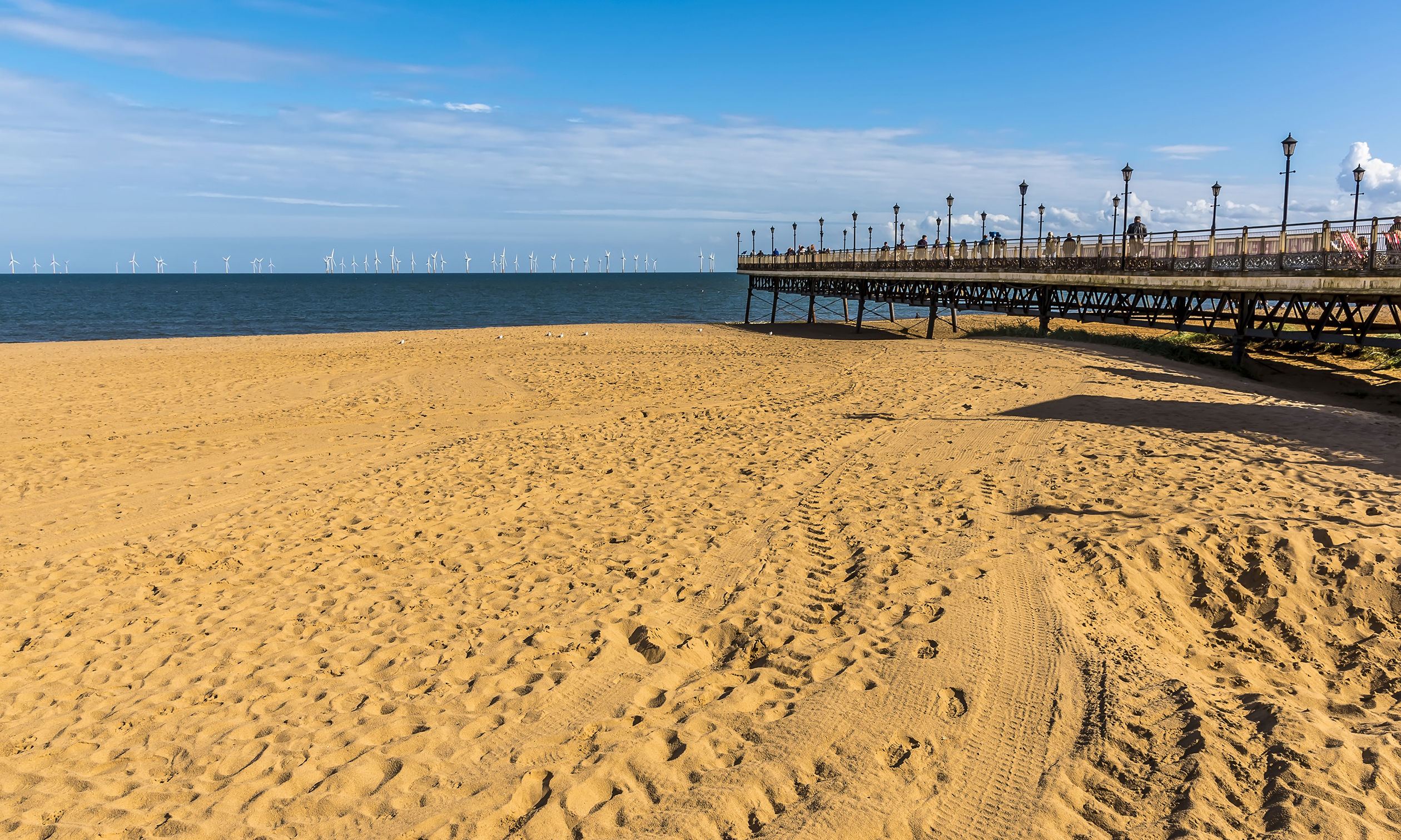 does skegness beach allow dogs