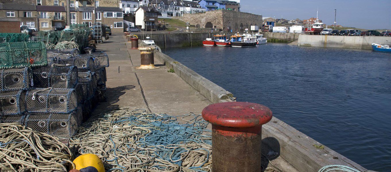 campsites near seahouses