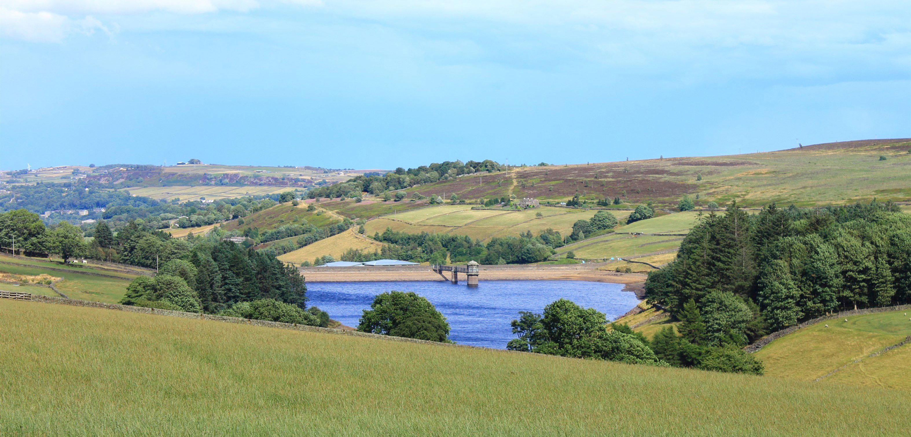 Escape to Nature's Embrace: Your Haworth Park Campground Adventure Awaits!