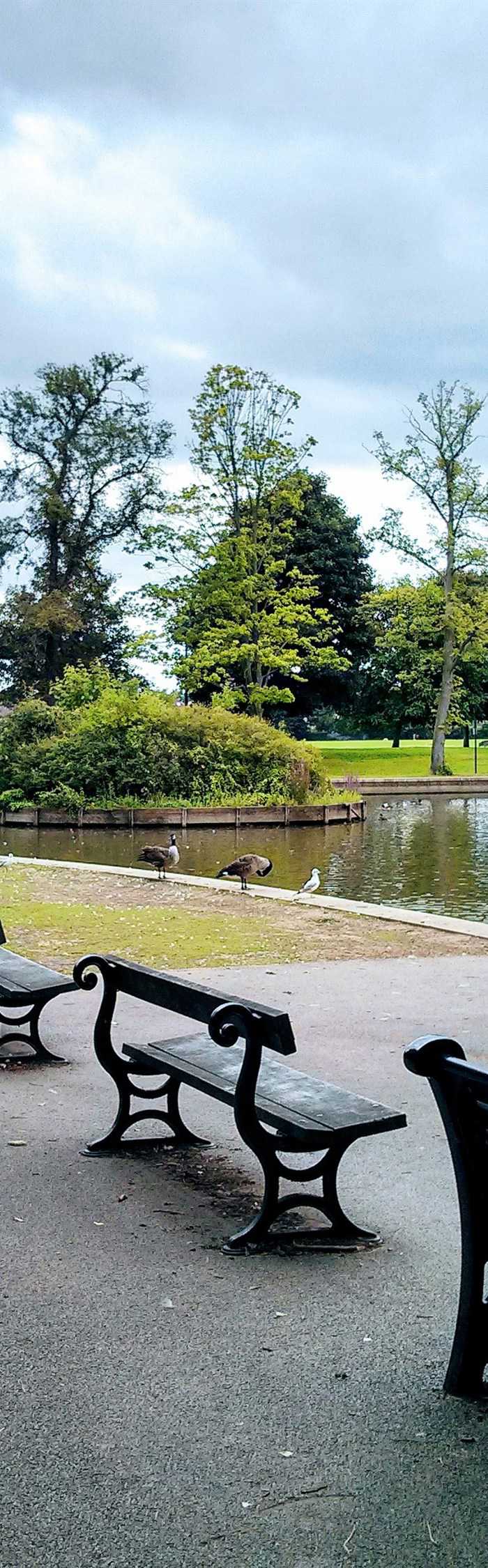 Darlington campsites 7 top Darlington camping sites