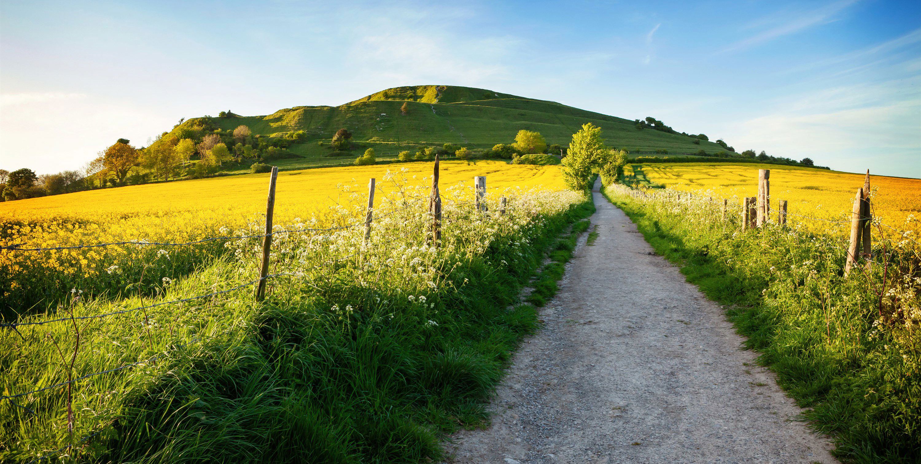 20+ Warminster campsites Best camping in Warminster, Wiltshire