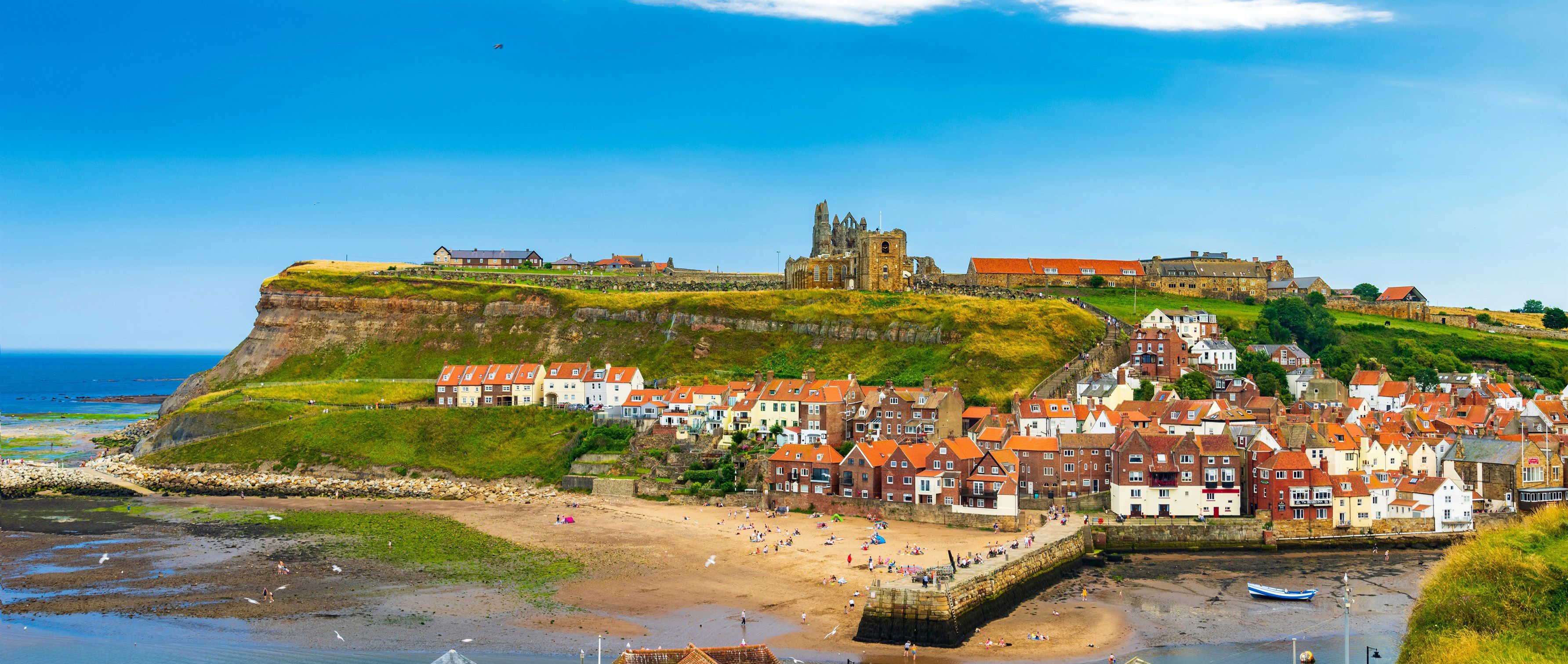 can you take dogs on the beach at whitby