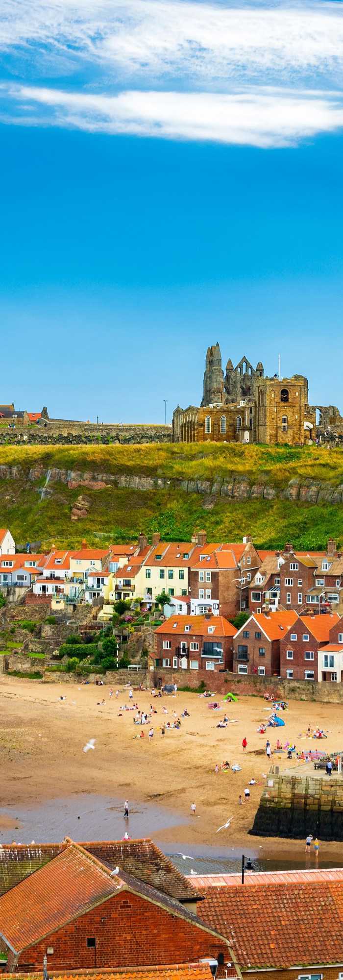 25+ Whitby campsites the best camping sites near Whitby