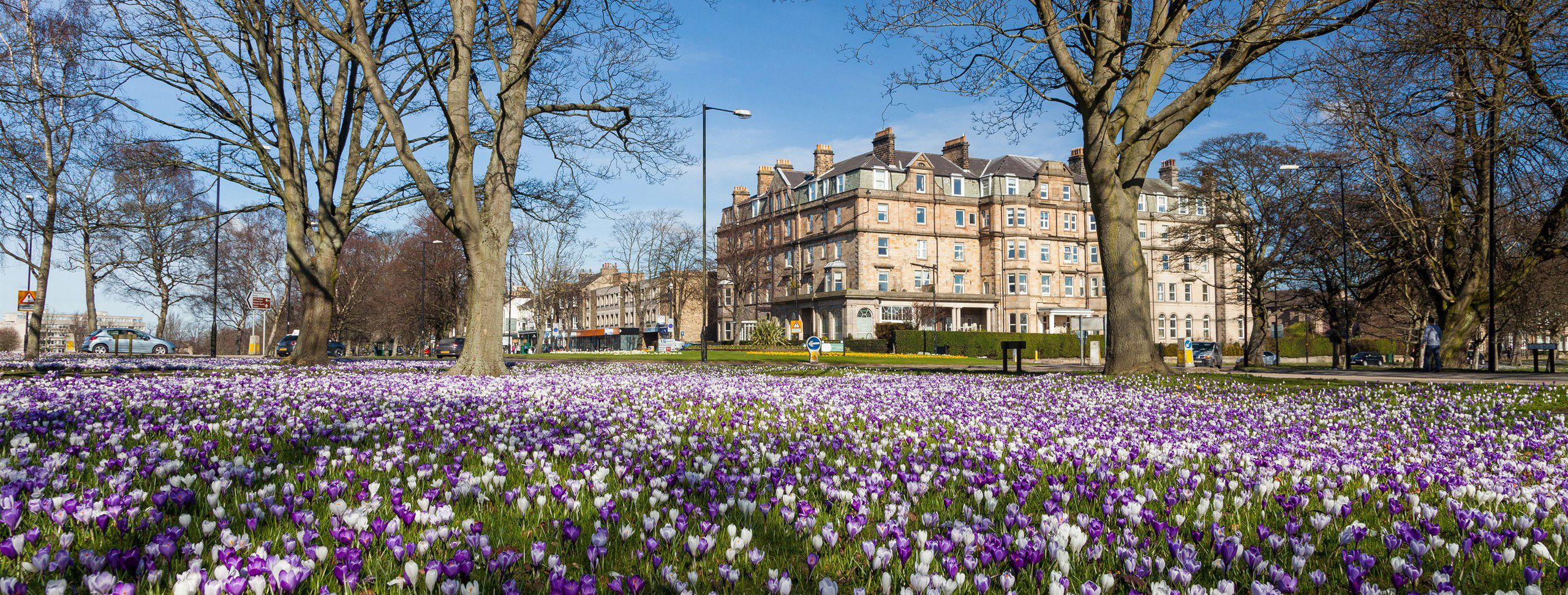 25+ Harrogate campsites Best camping in Harrogate, Yorkshire