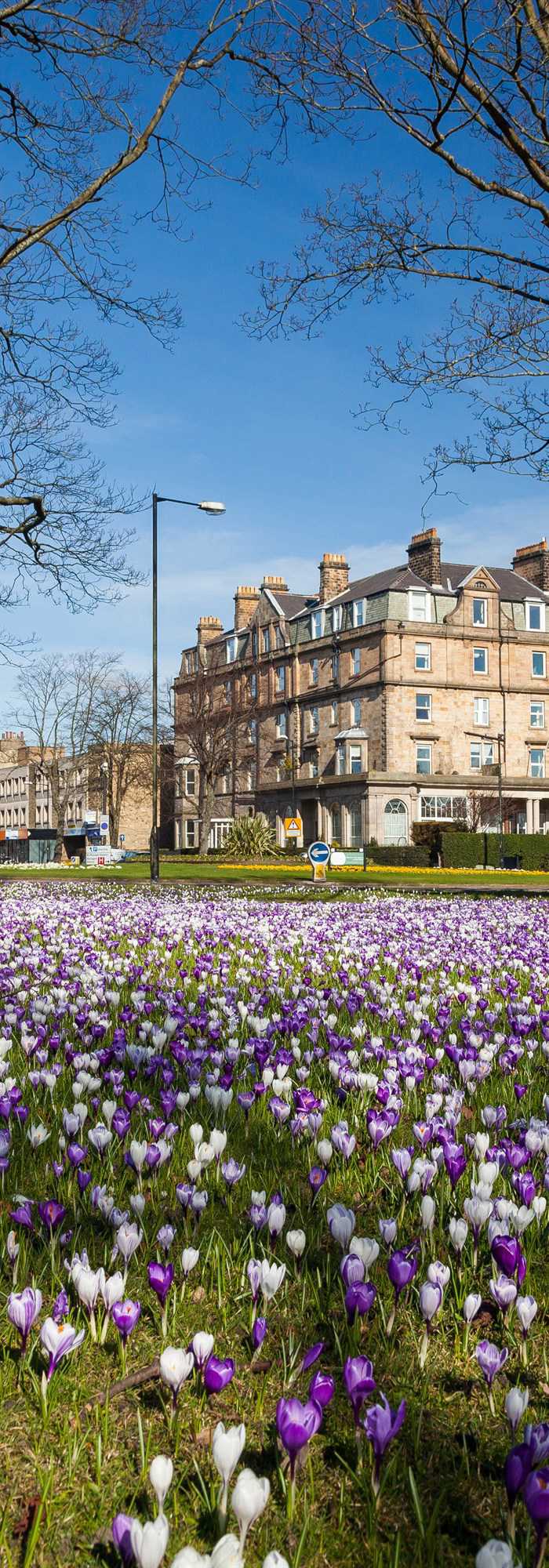 20+ Harrogate campsites Best camping in Harrogate, Yorkshire