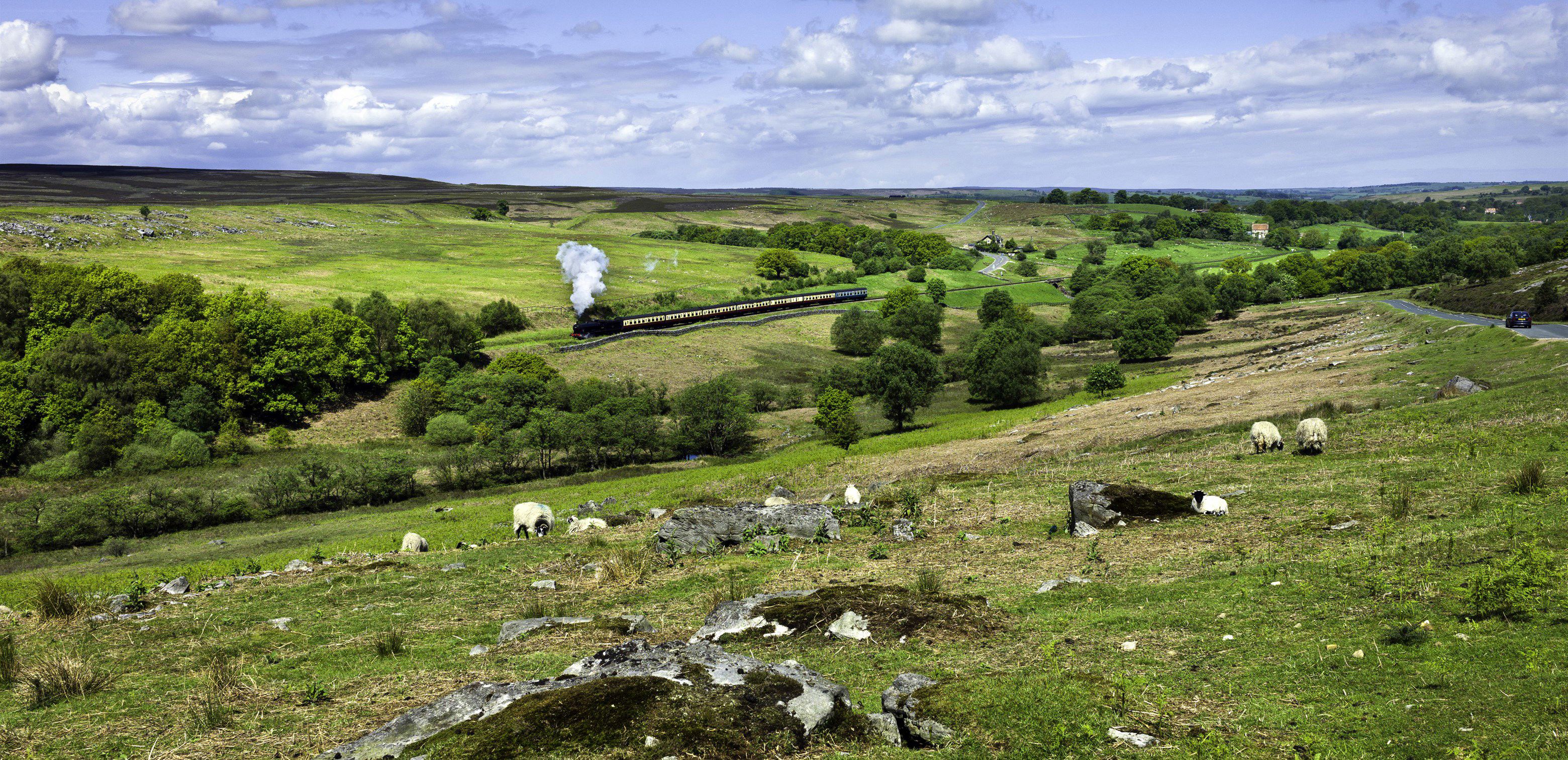 30+ Pickering campsites Best camping in Pickering, Yorkshire