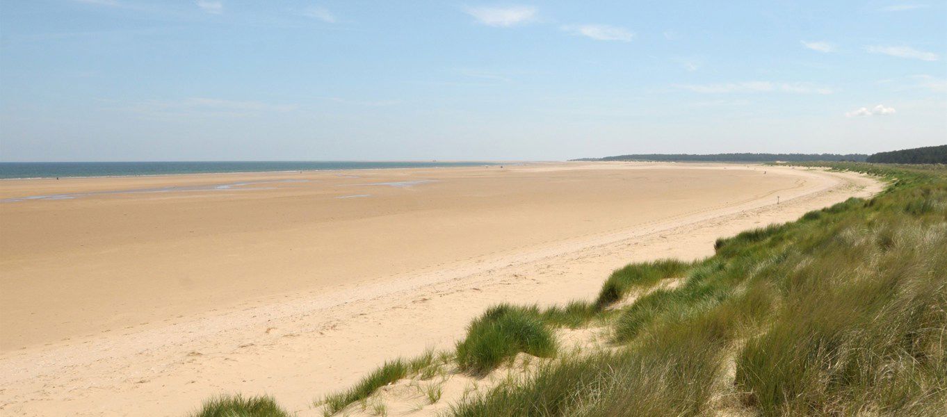 Holkham campsites | Best sites for camping in Holkham, Norfolk