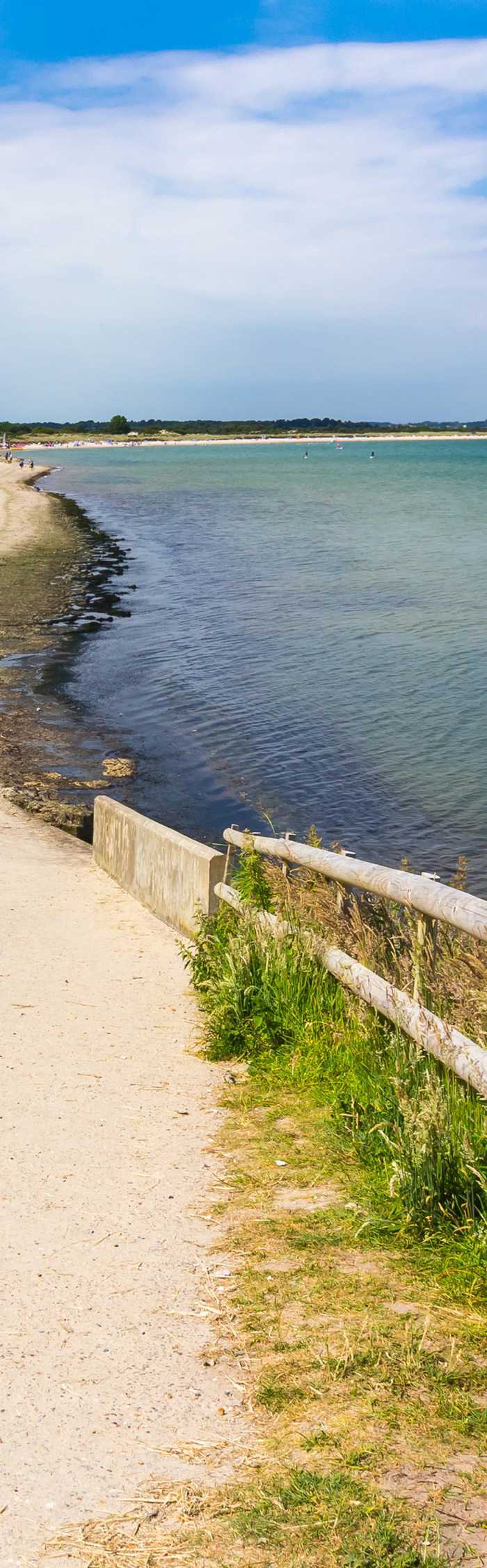 30+ Studland campsites | Best camping in Studland, Dorset