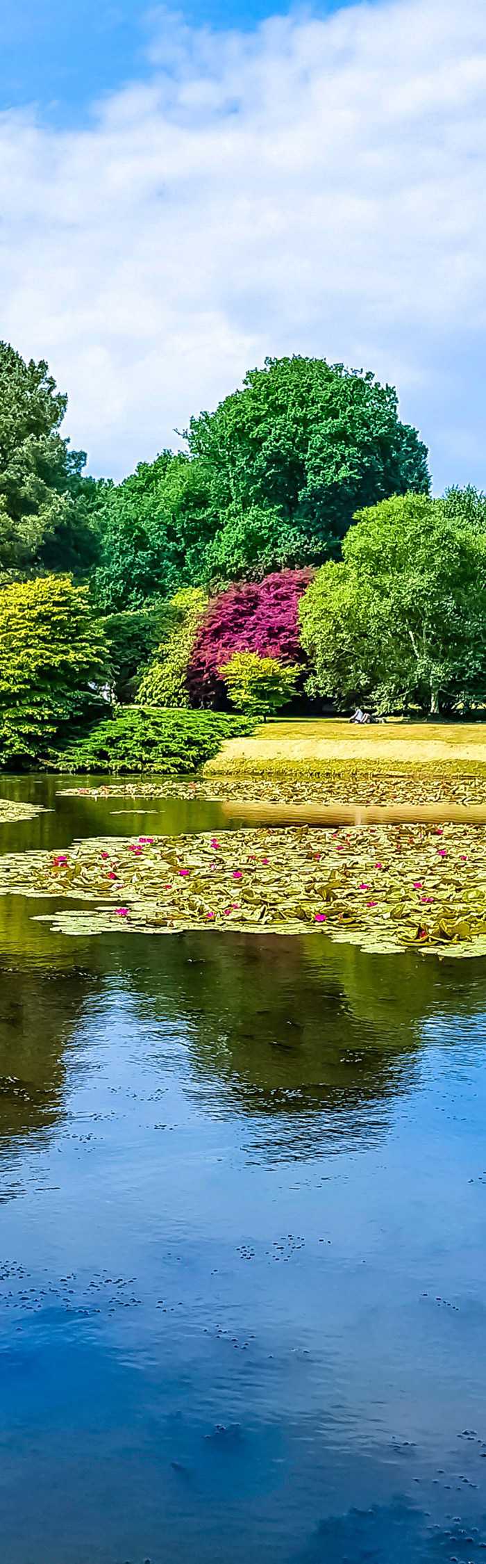 40+ Uckfield campsites top camping sites!