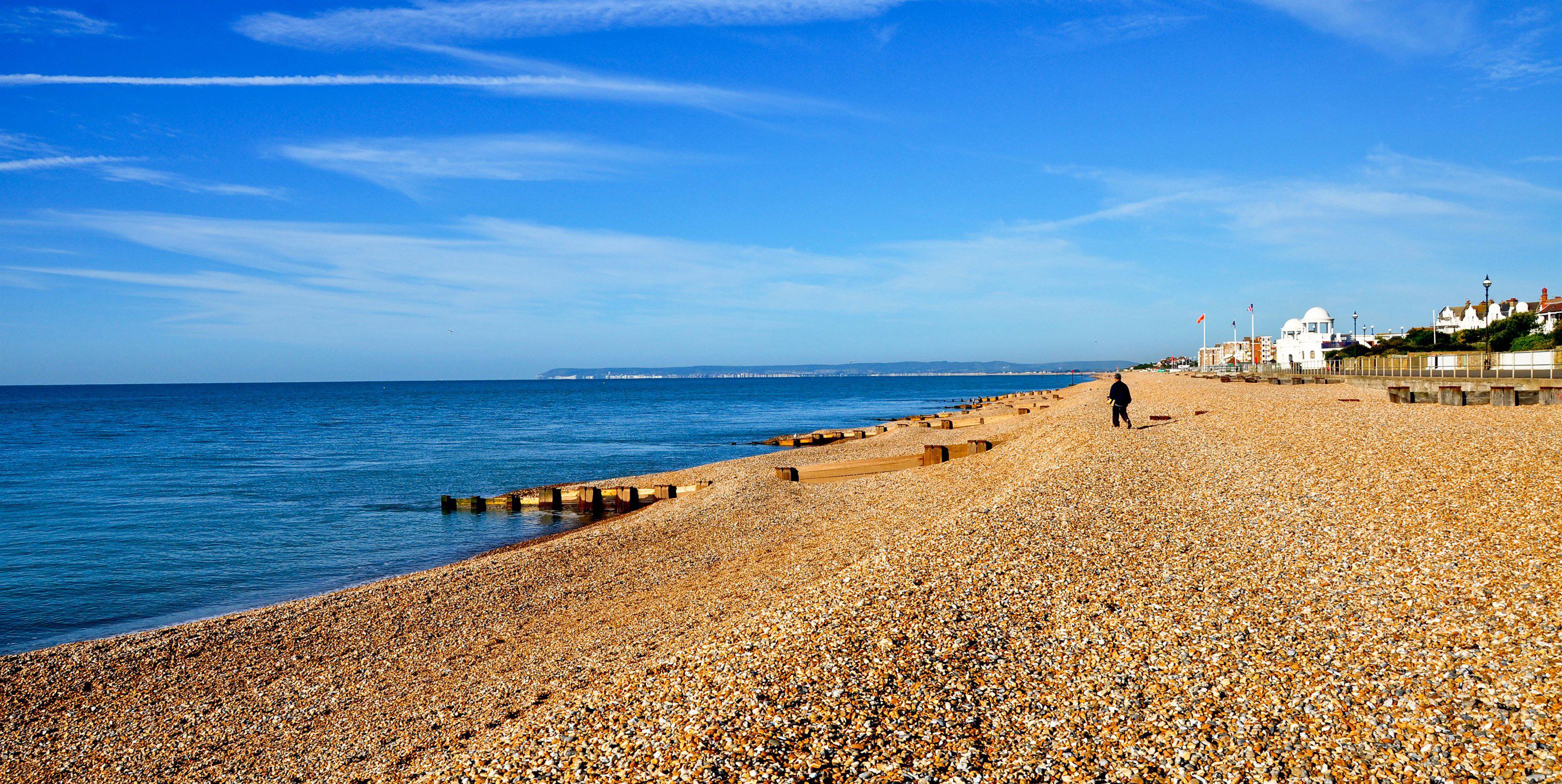 is cooden beach dog friendly