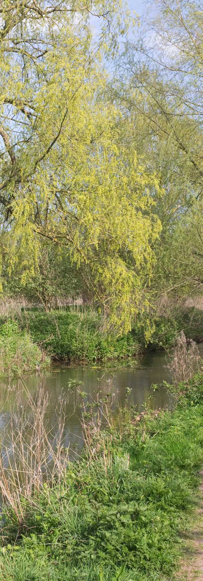 30+ Halesworth campsites Best camping in Halesworth, Suffolk