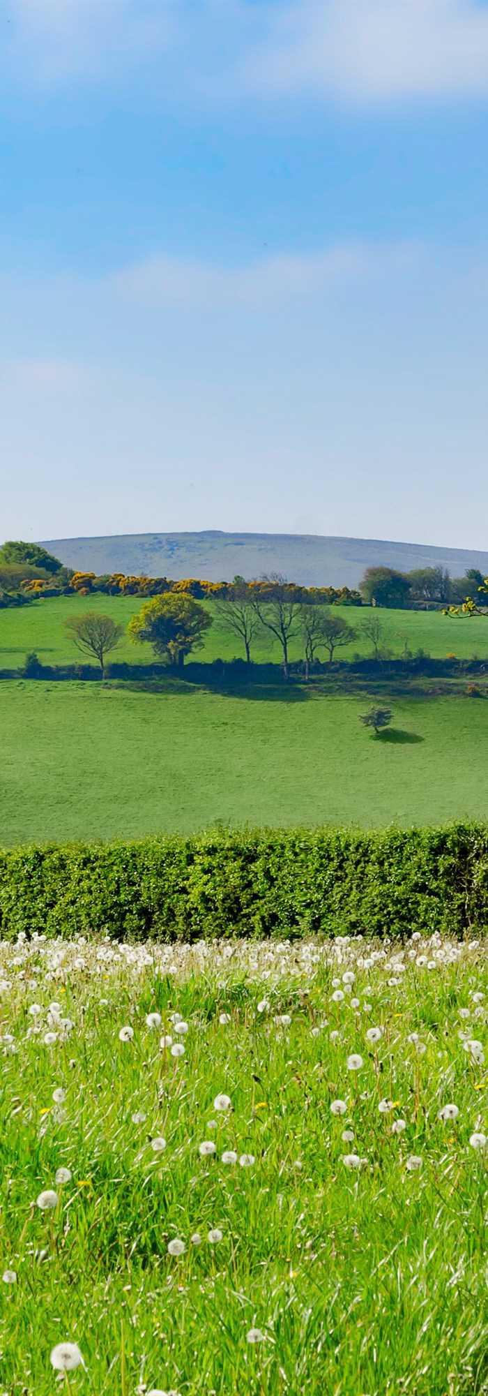 Campsites with electric hook up in Ivybridge, Devon