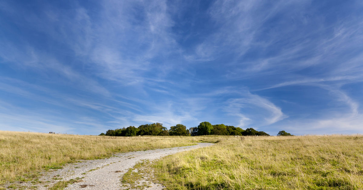 40+ Ferndown campsites Best camping in Ferndown, Dorset