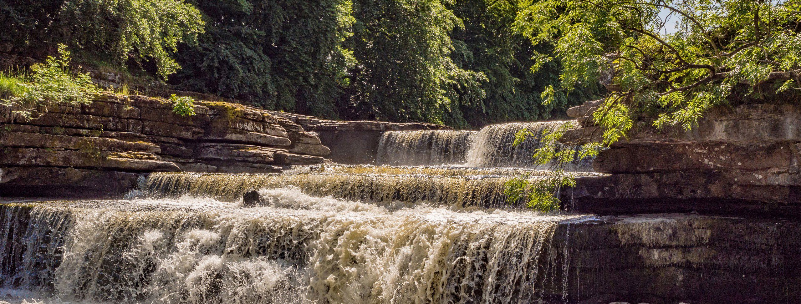 15 Aysgarth campsites | Best camping in Aysgarth, Yorkshire