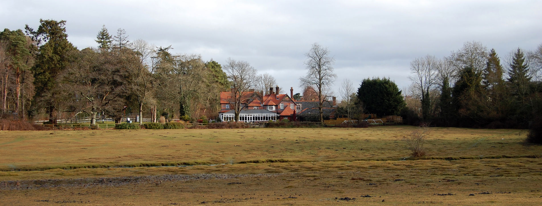 4 Ashurst campsites Best camping in Ashurst, Hampshire