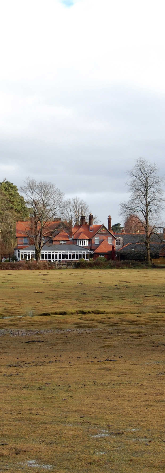 4 Ashurst campsites Best camping in Ashurst, Hampshire