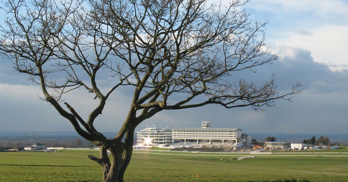 6 Epsom campsites Best sites for camping in Epsom, Surrey