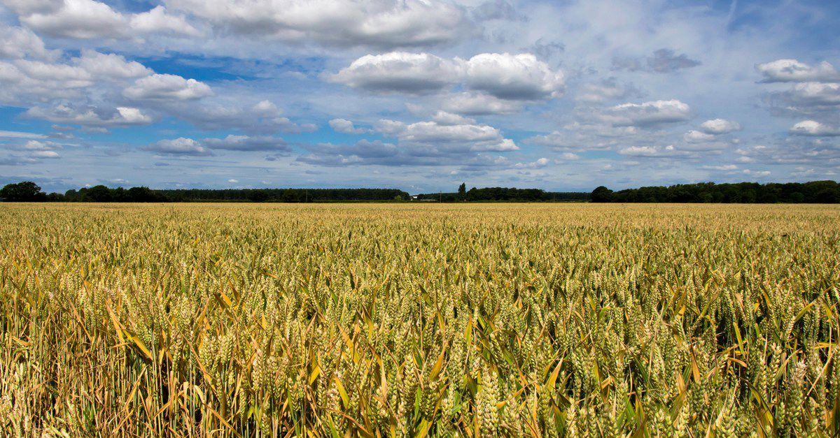 8 Worksop campsites Best camping in Worksop, Nottinghamshire