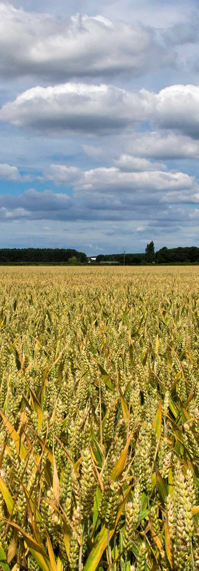 8 Worksop campsites Best camping in Worksop, Nottinghamshire